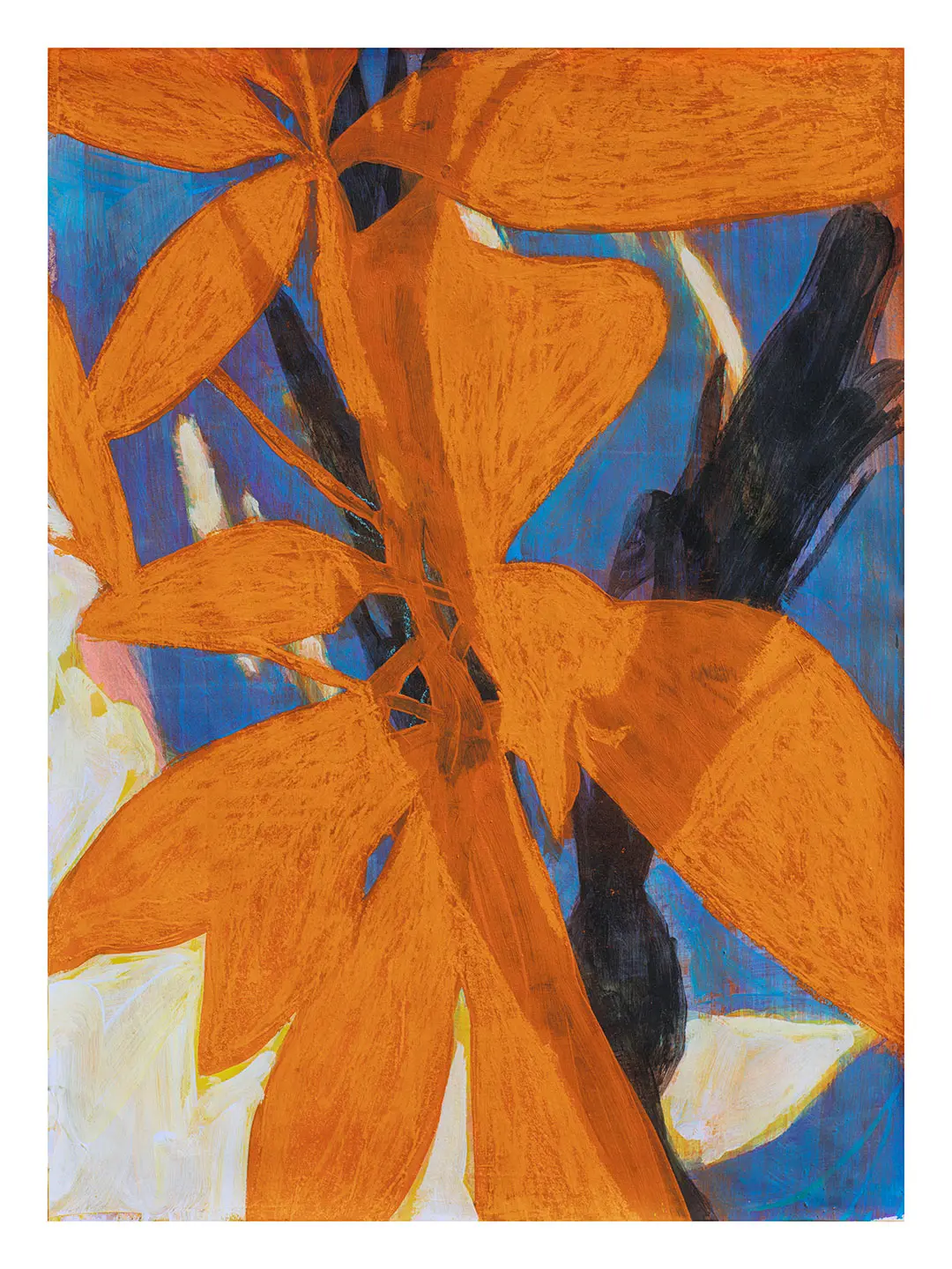 EH - Foliis aurantiacis