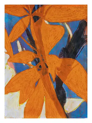 EH - Foliis aurantiacis